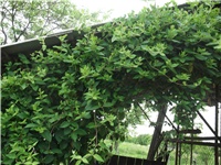 7f344e40-Picture 004.jpg